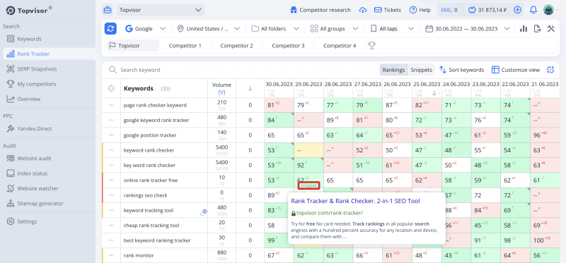 Rank Tracker, Snippets: How to view and export snippets